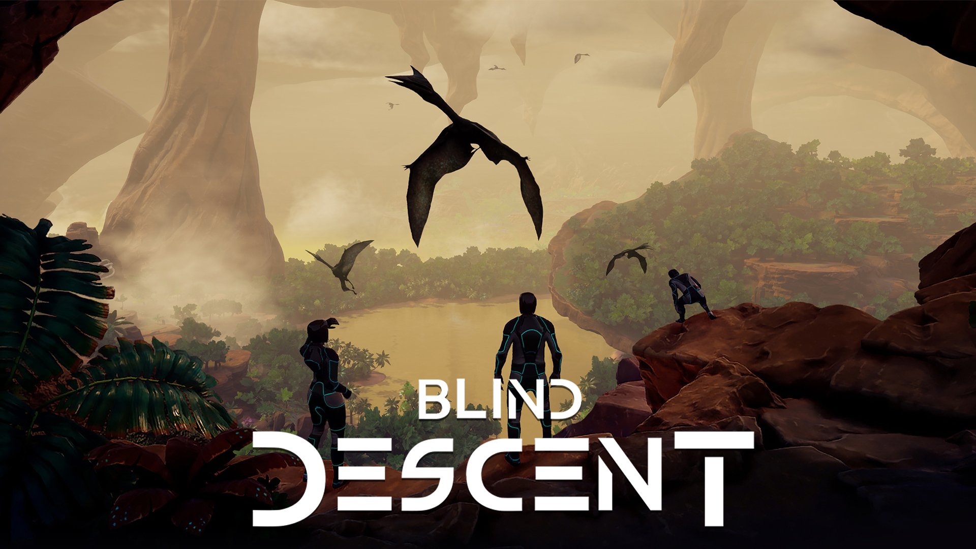 Blind Descent