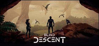 Blind Descent